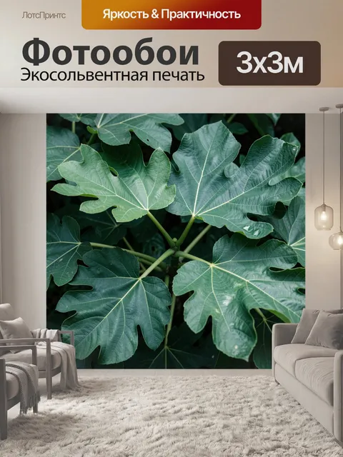 Фотообои Крупные тропические листья фикуса
