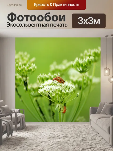 Фотообои Красный насекомых