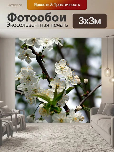 Фотообои Цветок