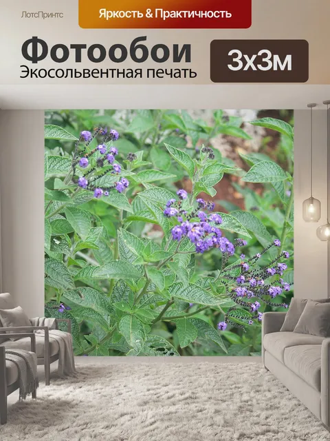 Фотообои зеленая растительность и фиолетовые цвет