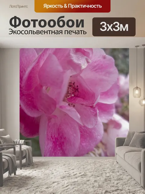 Фотообои Вертикальная розовая роза