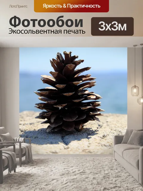Фотообои Сосновые шишки