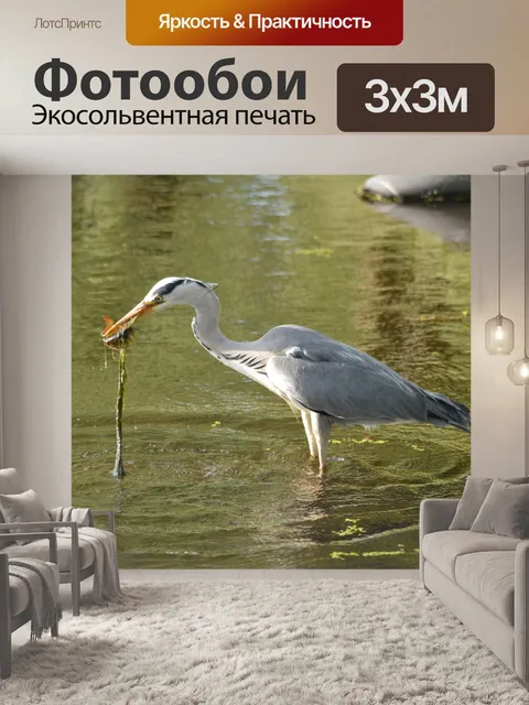 Фотообои Поймать рыбу 9