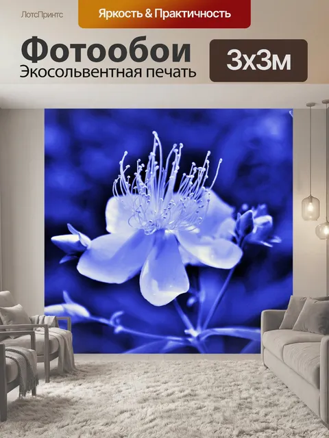 Фотообои индиго и белого зверобоя