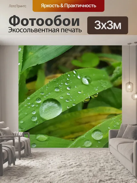 Фотообои Трава