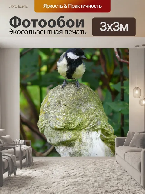 Фотообои Большая синица