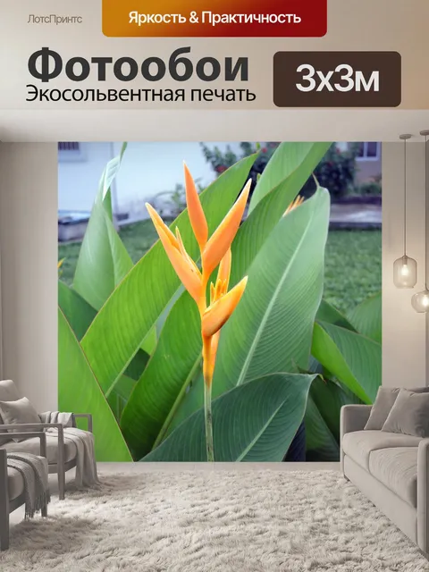Фотообои Экзотический цветок