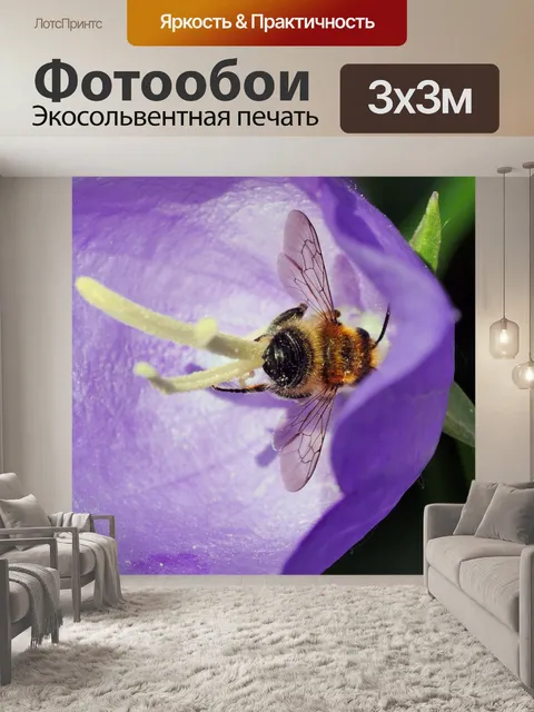 Фотообои Шмель