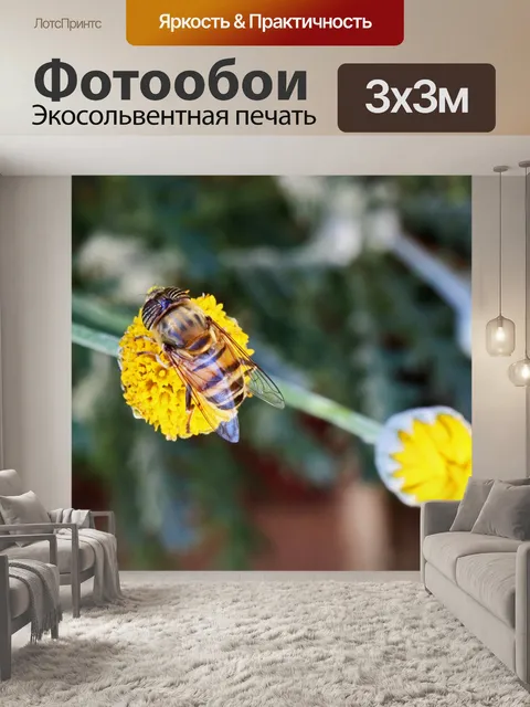 Фотообои пчела в центре желтого цветка