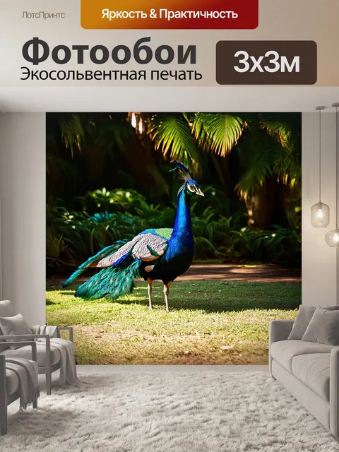 Фотообои павлин, распустивший свои великолепные хвостовые перья, стоит на живописном фоне тропического леса