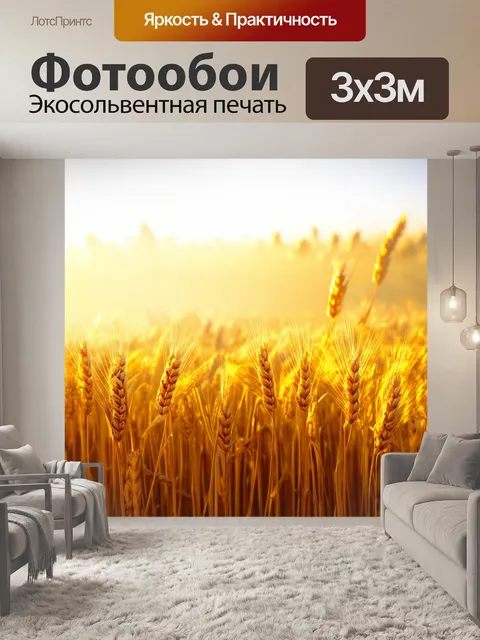 Фотообои золотистые поля пшеницы, укрытые утренним туманом, создают атмосферу загадки под ярким небом