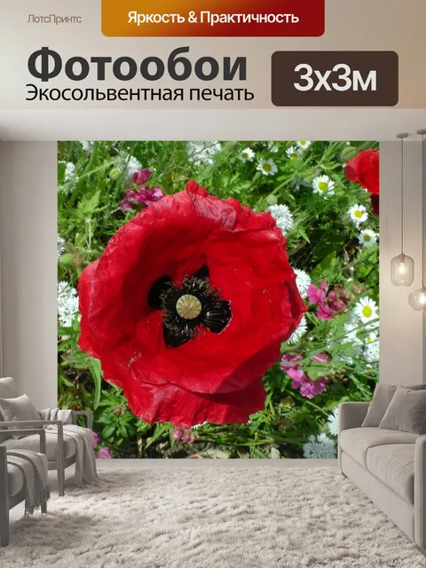 Фотообои Мак в саду
