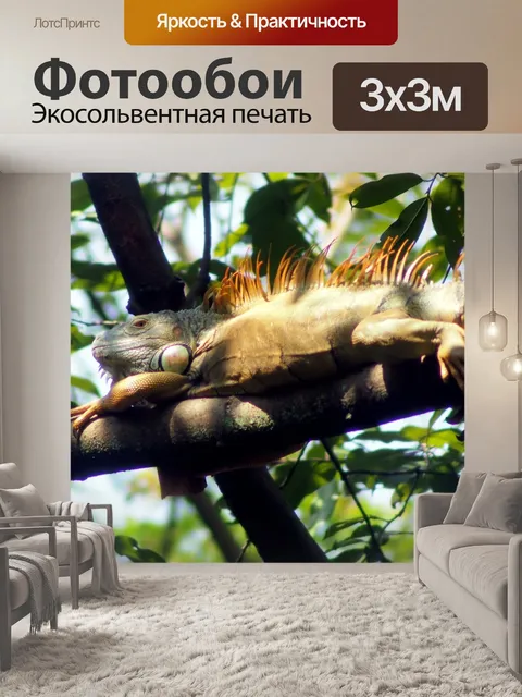 Фотообои Дерево