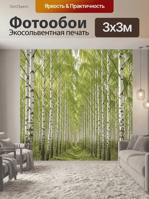 Фотообои Березовая аллея в зеленом лесу