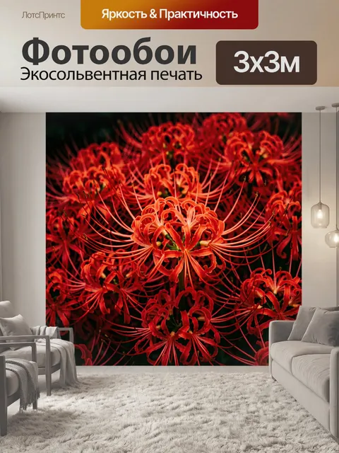 Фотообои Алые цветы в макросъемке