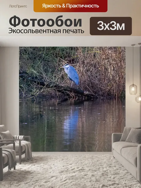Фотообои Серая цапля