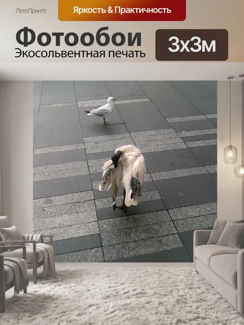 Фотообои ибис