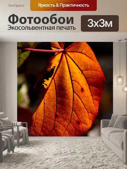 Фотообои Лист