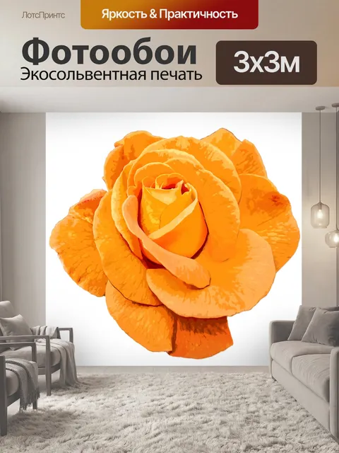 Фотообои Роза Оранжевый Клип Арт