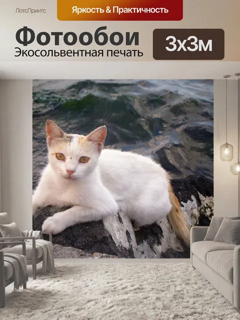 Фотообои Кошки
