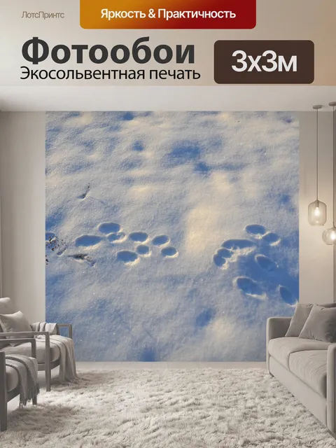 Фотообои Следы на снегу