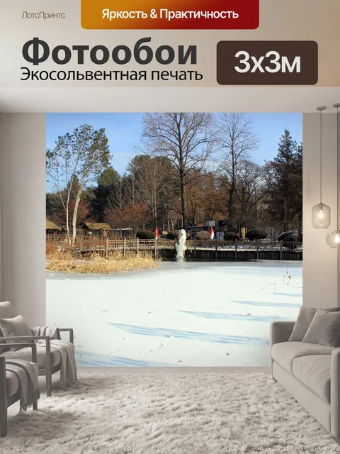 Фотообои Замороженные Пруд