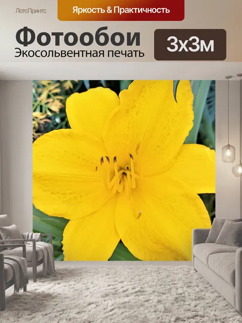 Фотообои Желтая дневная лилия крупным планом