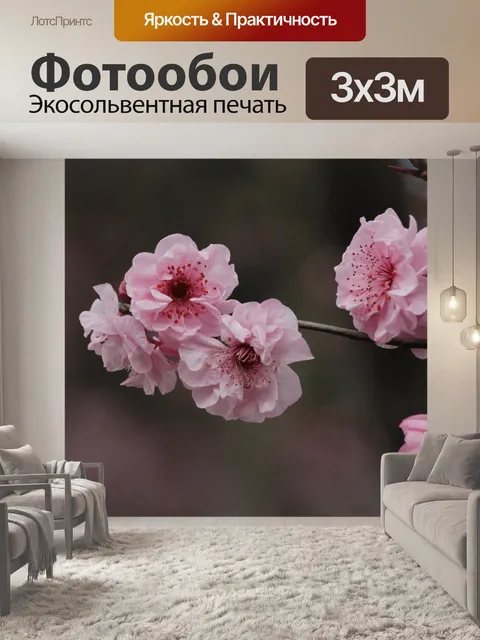 Фотообои Фотография цветами вишни