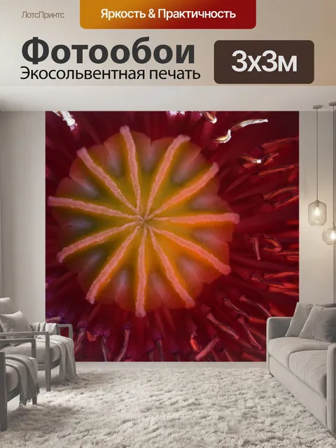Фотообои крупным планом вид изнутри мака