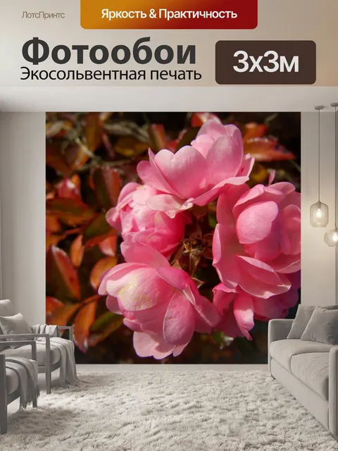 Фотообои Кустовая роза