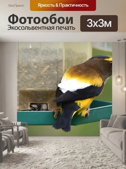 Фотообои Вечерний Гробоклюв