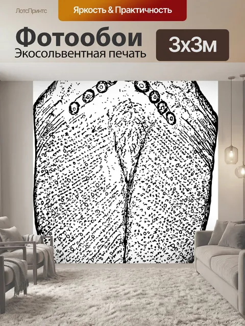Фотообои Человеческий язык
