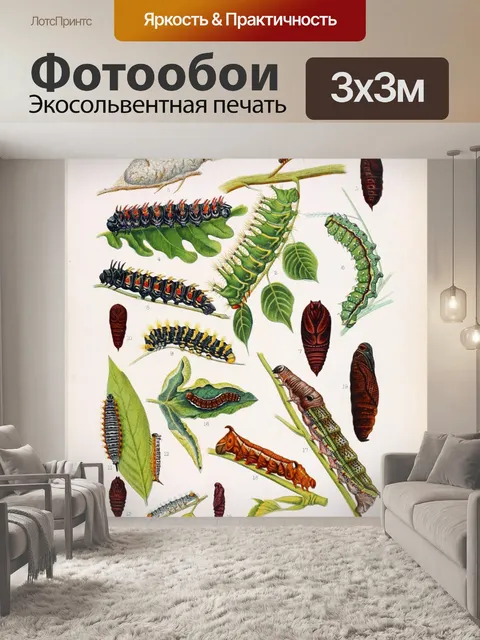 Фотообои гусеница бабочка винтажное искусство