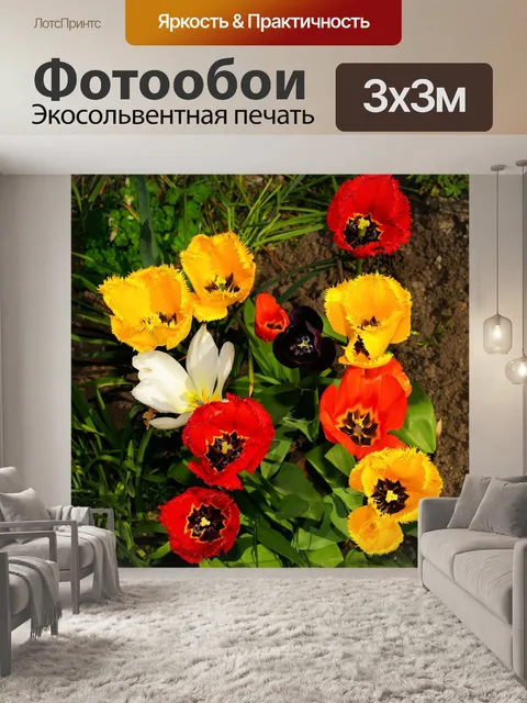 Фотообои Расцветает