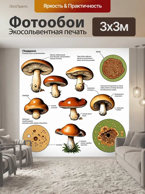 Фотообои описание: научная иллюстрация
