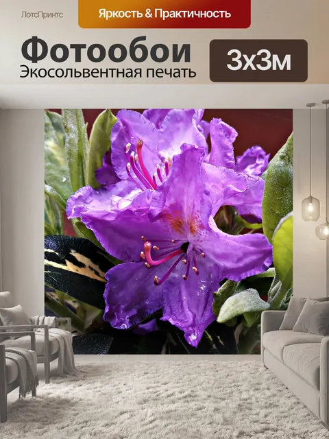 Фотообои Цветок
