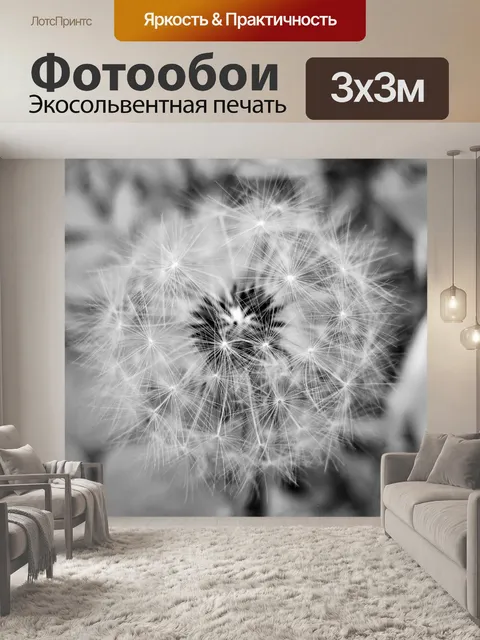 Фотообои черно-белый одуванчик
