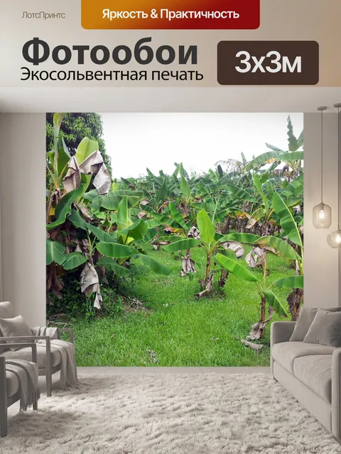 Фотообои банановые поля сажать елку