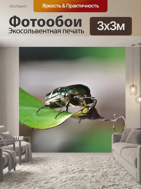 Фотообои Жук-роза