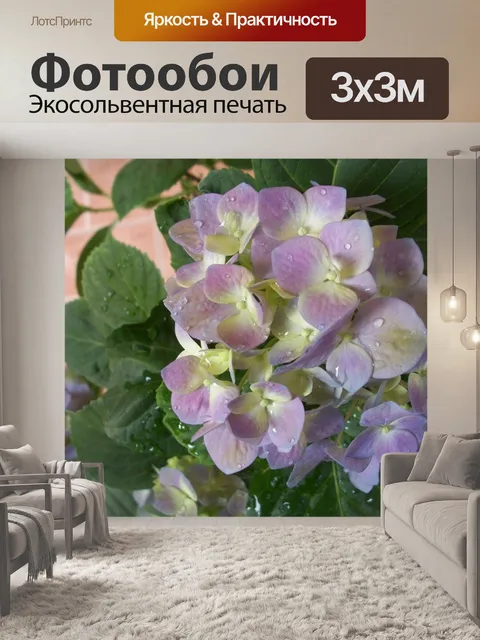 Фотообои Гортензии