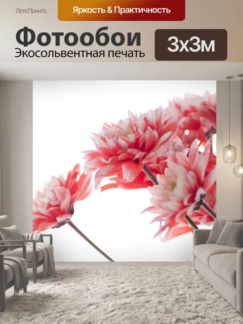 Фотообои Цветы