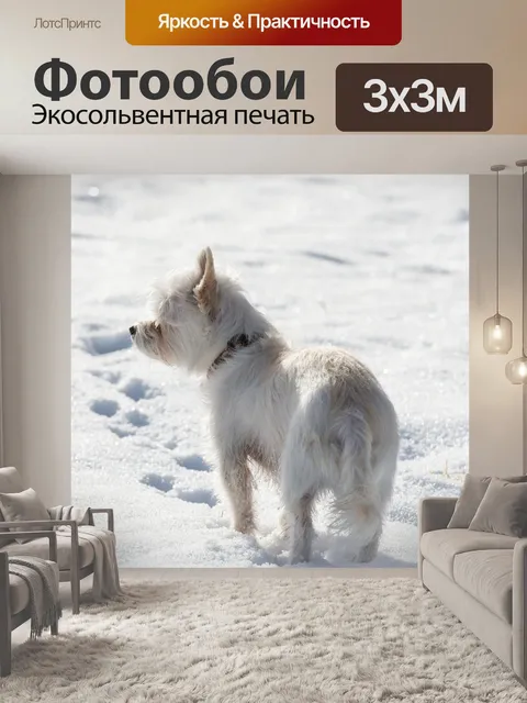 Фотообои Собака