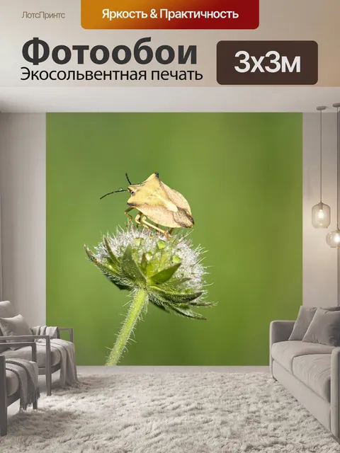 Фотообои Ошибка