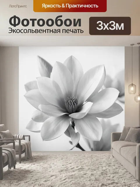Фотообои Белый цветок крупным планом
