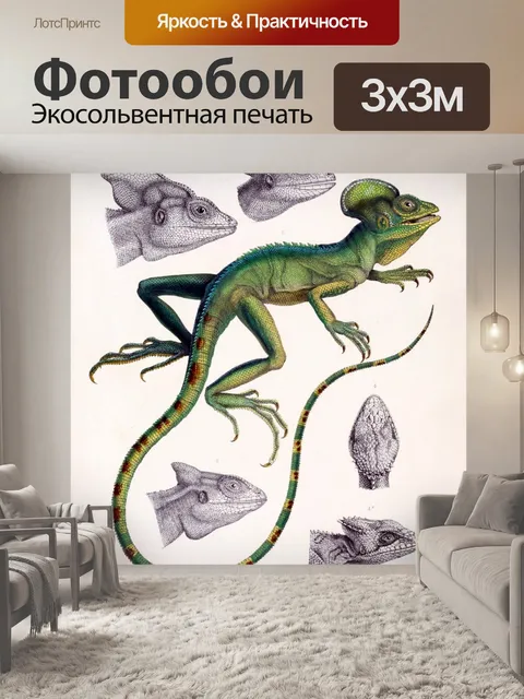 Фотообои Винтажное искусство василиска игуаны