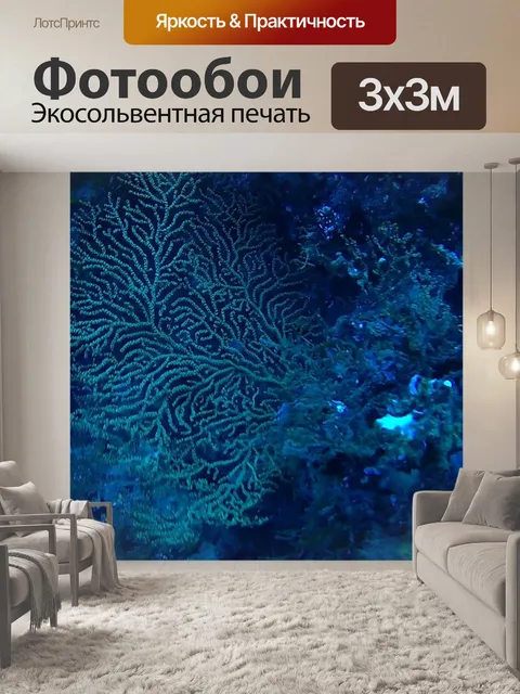 Фотообои Кораллы