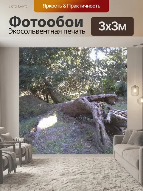 Фотообои Упавшее дерево