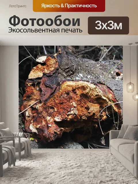 Фотообои текстура на гниющем пне