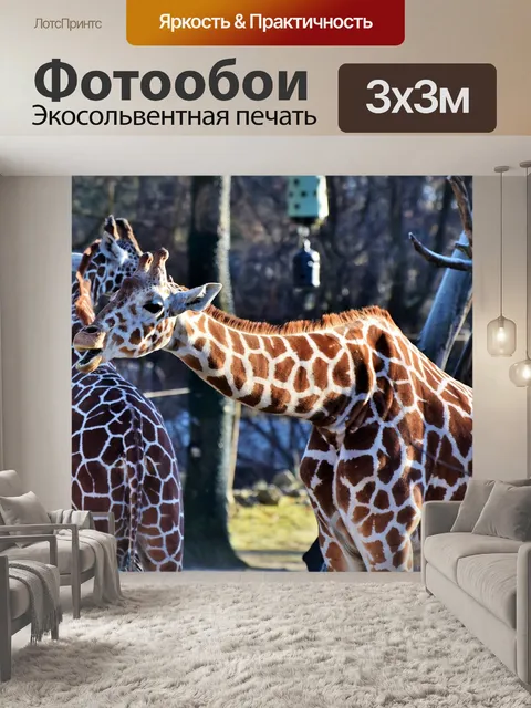 Фотообои Жирафа