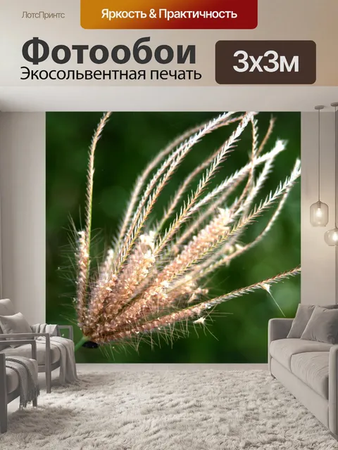 Фотообои Сухой дикий цветок